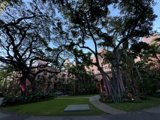 Twilight Tranquility at The Royal Hawaiian