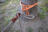 The Secured Tree