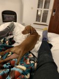 Cozy Nap Buddies