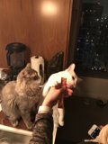 Feeding Time