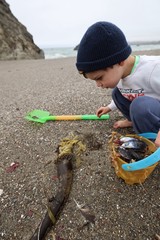 Young Explorer Discovers Ocean Treasures on Foggy Beach