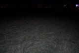 Night Sky over a Field of Grass with Cityscapes in the Background
