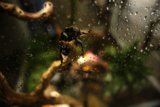 Enigmatic Encounter in a Rain-Soaked Haven