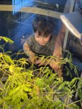 Nature's Wonder Through Young Eyes