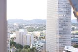 Urban Jungle