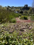 Serene Agricultural Landscape