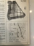 Navigating the Urban Jungle