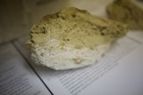 Documentation on a rocky surface