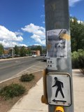 Canine Crossing