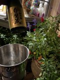 Wine in the Garden