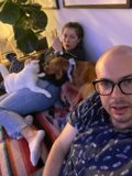 Cozy living room with furry friends