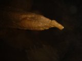 Exploring the Mysteries of the Cave