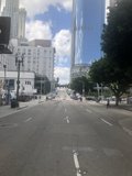 A Bustling Metropolis