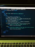 Programming on the Go