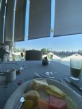 Summer Brunch in Chapultepec Park