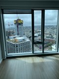 Overlooking the Urban Oasis