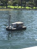 Tranquil Waters
