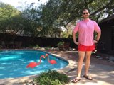 Summertime Relaxation