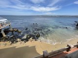 Seaside Serenity