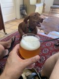 Cheers with my furry friend
