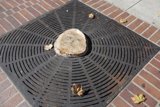 The Tree Stump and Metal Grate