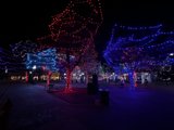 City of Christmas Lights