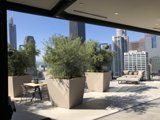 Cityscape Oasis