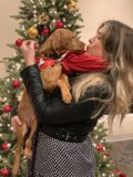 A Christmas Moment with My Furry Friend