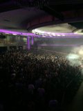 Purple Haze Palladium Final