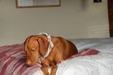 Rest and Relaxation