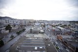 Bird's Eye View of an Urban Jungle
