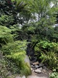 Serenity in the Wild: Exploring the Hidden Gems of Golden Gate Park
