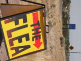 Flea Sign on the Road
