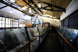 Strolling Through Glass Walkway