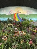 Rainbow Path to Nature's Palette