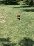 Frisbee Fun