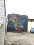 Majestic Horse Mural