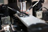 The Making of a Microscopic World