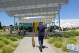 Walking the Dog Under a Covered Pavilion