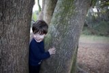 Hide and Seek Delight