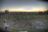 Sunset Serenity in the Community Garden