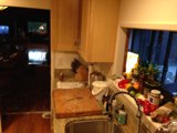 Wood Cabinetry and Decorative Plants in an Altadena Kitchen