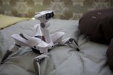 Resting Robot