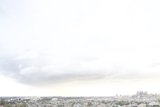 Flying High in the City