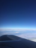 A Wing's-Eye View