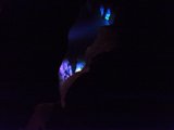Radiant Underworld