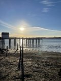 Sunset at Bodega Bay Pier