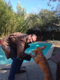 Man and Dog Playing in Pool on a Sunny Californian Day