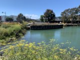Serenity by the River