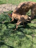 Playtime in the Park